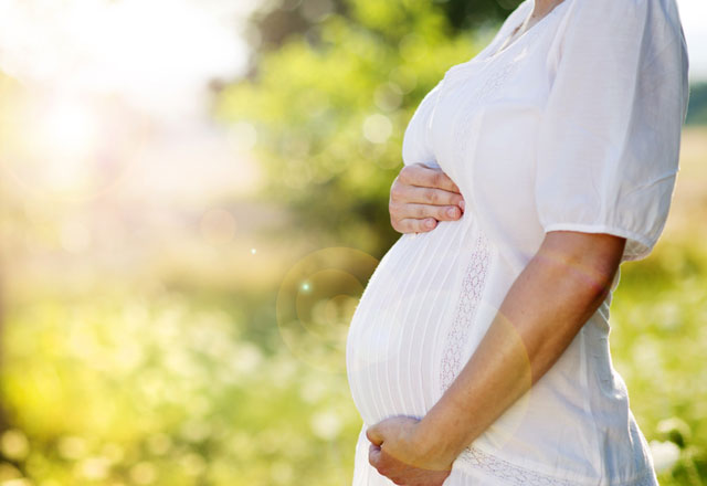 24 haftalik gebelikte anne karni